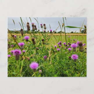 Wilde Blumen Postkarte
