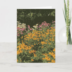 Wilde Blumengarten Kone Blume Schwarze Mit Augen S Karte