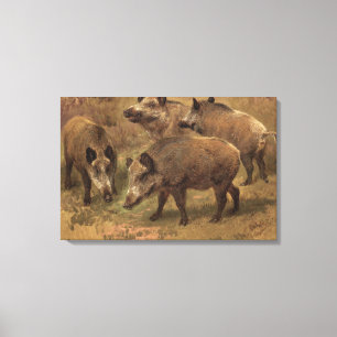 Wilde Boars in einer französischen Landschaft (von Leinwanddruck