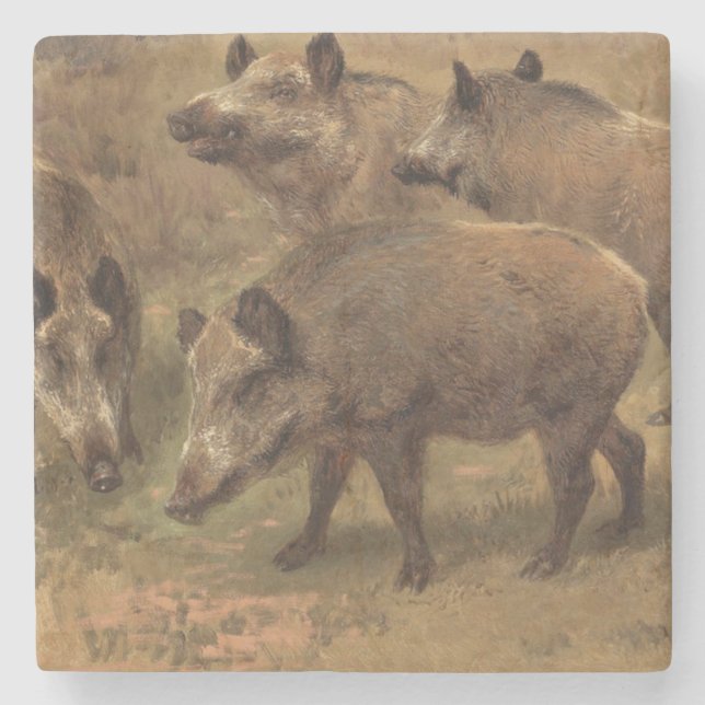 Wilde Boars in einer grasbewachsenen Landschaft (v Steinuntersetzer (Vorderseite)