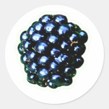 Wilde Brombeeraufkleber, reifende Brombeere, e