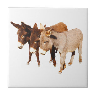Wilde Burro-Freunde Fliese