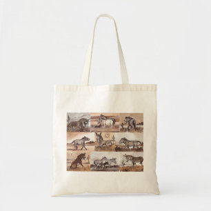 Wilde Burros der SüdwestTaschen-Tasche LLMartin Tragetasche