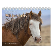 Wilde Curly Pferde aus Salz Wells