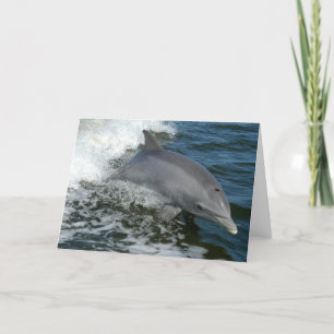 Wilde Delphin-Gruß-Karte Karte
