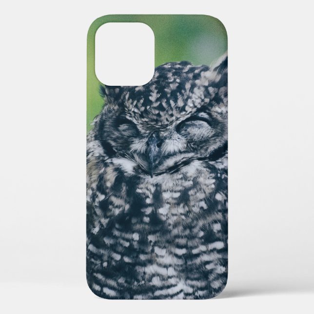 WILDE EULE IM FRANZÖSISCHEN WALD Case-Mate iPhone HÜLLE (Rückseite)