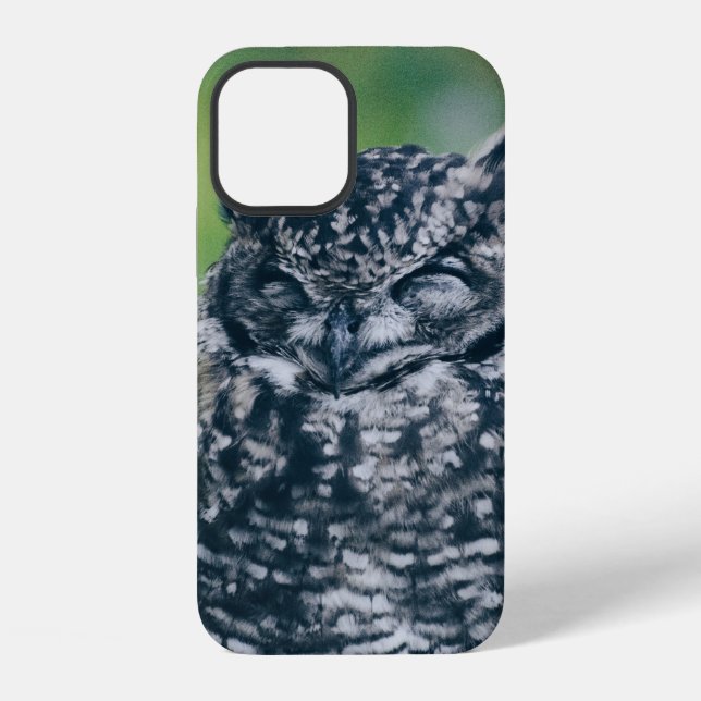 WILDE EULE IM FRANZÖSISCHEN WALD iPhone 12 HÜLLE (Rückseite)