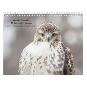 Wilde Falken 2025 Kalender