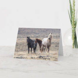 Wilde Familie: Galloping to Freedom Grußkarte Karte