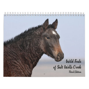 Wilde Fohlen aus Salzwasser-Bach Kalender