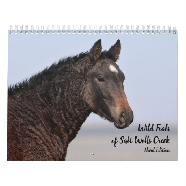 Wilde Fohlen aus Salzwasser-Bach Kalender (Titelbild)
