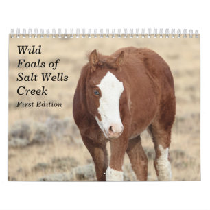 Wilde Fohlen aus Salzwasser-Bach Kalender
