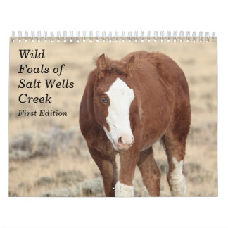 Wilde Fohlen aus Salzwasser-Bach Kalender