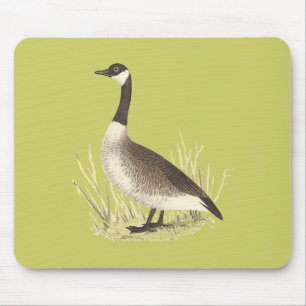 Wilde Gans (Anser canadensis) Mousepad