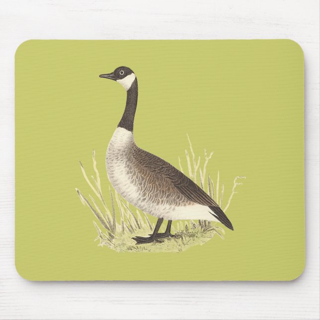 Wilde Gans (Anser canadensis) Mousepad (Vorne)