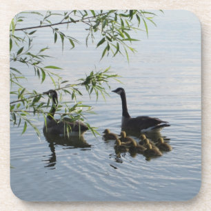 Wilde Gänse - Set von 6 Jahren Untersetzer