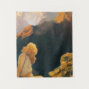 Wilde Gänse von Maxfield Parrish Wandteppich