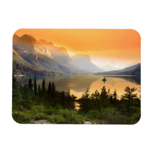 Wilde Gänsinsel im Glacier Nationalpark Magnet
