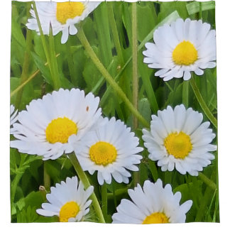 Wilde Gartenblumen Rumänien – Naturfotografie Duschvorhang