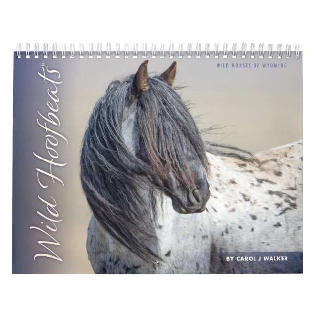 Wilde Hoofbeats: Wilde Pferde im Wyoming-Kalender Kalender (Titelbild)