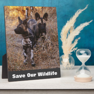 Wilde Hunde Rettete unsere Tierwelt Fotoplatte