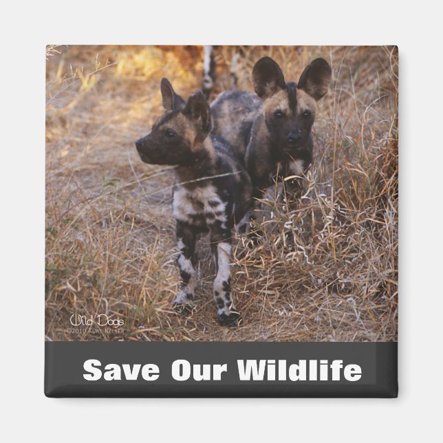 Wilde Hunde Rettete unsere Tierwelt Magnet (Vorne)