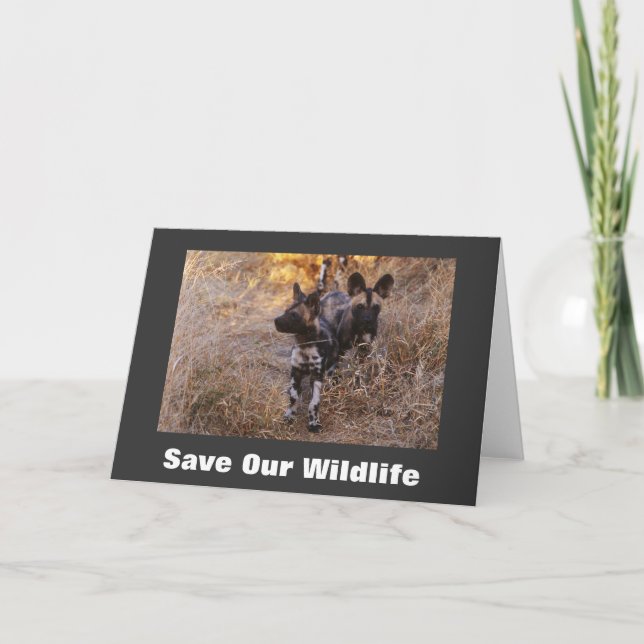 Wilde Hunde Rettete unsere Wildlife Grußkarte Karte (Vorderseite)