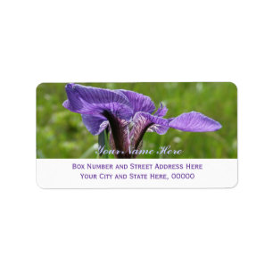 Wilde Iris, Iris setosa Adressaufkleber