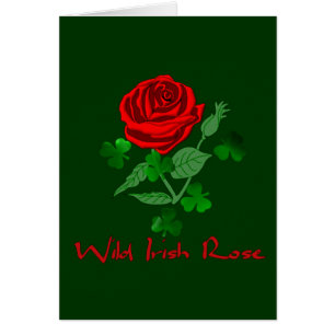 Wilde irische Rose
