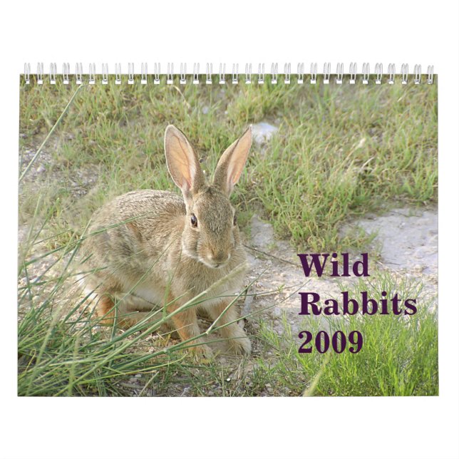 Wilde Kaninchen 2009 Kalender (Titelbild)