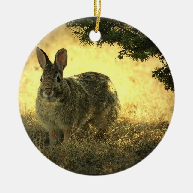 Wilde Kaninchen-Foto-Verzierung Keramikornament (Vorne)
