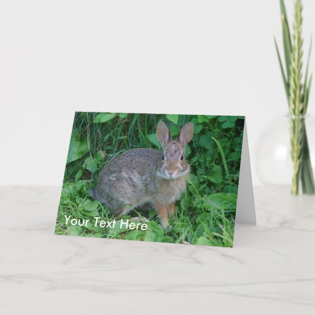 Wilde Kaninchen-Tiernatur-Foto-Karte Karte (Vorderseite)