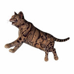 wilde Katze Freistehende Fotoskulptur<br><div class="desc">Eine schöne wilde Katze</div>