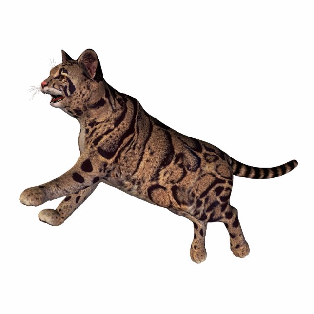 wilde Katze Freistehende Fotoskulptur (Vorne)