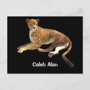 Wilde Katze Geparden Gepunktet Katze Tier Personal Postkarte