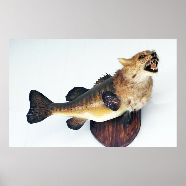 Wilde Katze Katze Fisch Bass Funny Taxidermy Poste Poster (Vorne)