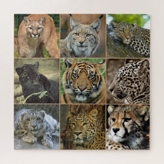 Wilde Katzen Foto Puzzle