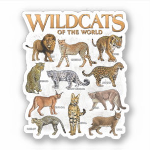Wilde Katzen Tiere der Welt für Erziehung und Bild Aufkleber