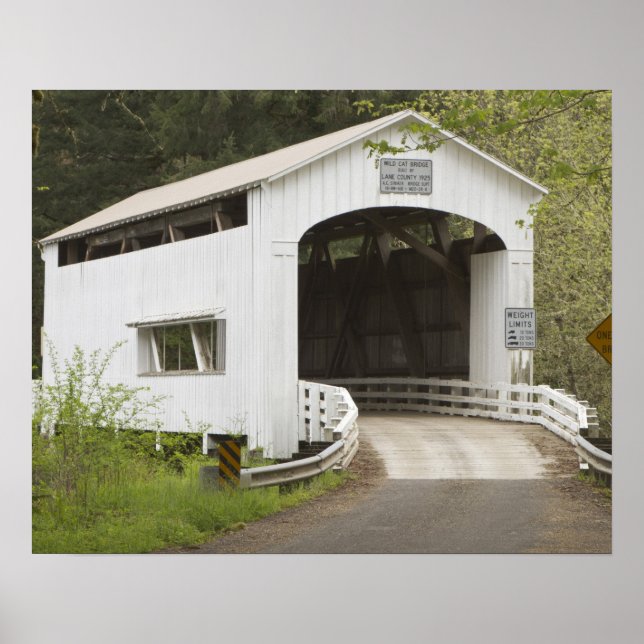 Wilde katzenbedeckte Brücke, Lane-Landkreis, Orego Poster (Vorne)