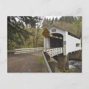 Wilde katzenbedeckte Brücke, Lane-Landkreis, Orego Postkarte