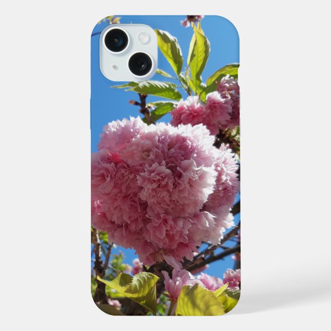 Wilde Kirsche rosa Blütenbaum iPhone 15 Plus Hülle (Rückseite)