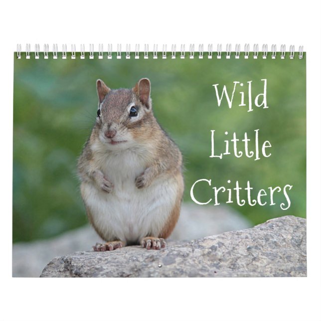 Wilde kleine Lebewesen Kalender (Titelbild)