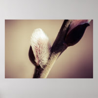 Wilde Knospen - das Vertrauen in das neue Leben