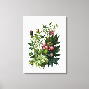 Wilde Kräuter und Blume Aquarellkunst Leinwand