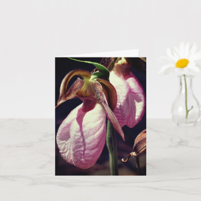 Wilde Lady Slipper Orchids Blume Personalisiert Hi Karte (Kleine Pflanze)