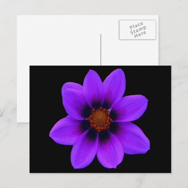 Wilde Lila Blume in der Dämmerung Postkarte (Vorne/Hinten)