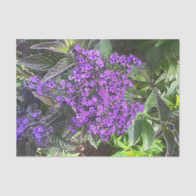 Wilde lila lila Blume Frühlingsgrün Seidenpapier (Vorderseite)