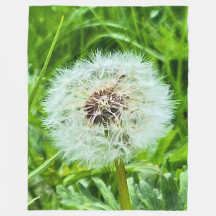 Wilde Löwenzahn Rumänien Botanische Makrofotografi Fleecedecke