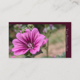 Wilde Malve Visitenkarte