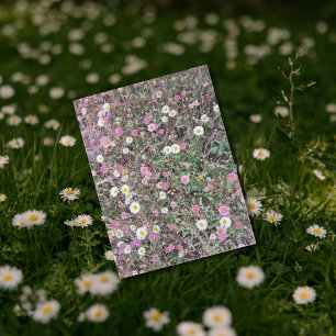 Wilde Milchprodukte und rosa Blume im Naturgebiet Postkarte